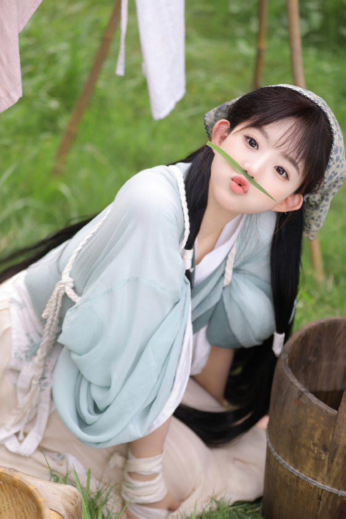 猫 封面